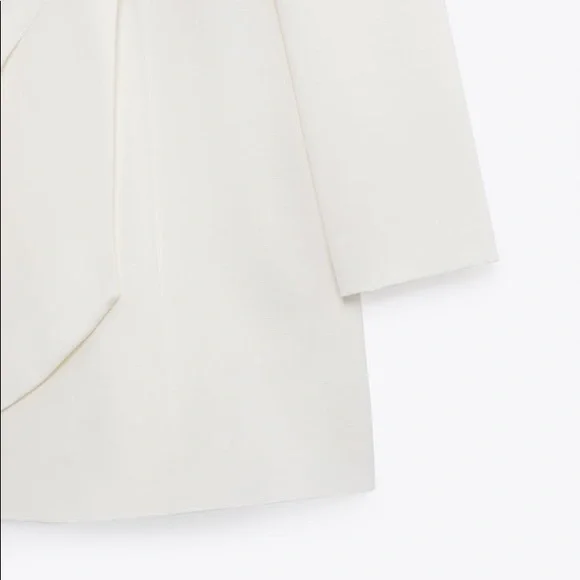 Zara Draped Blazer Dress - Picture 14 of 16